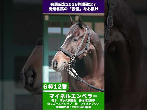 【有馬記念2025枠順確定　出走各馬の「表情」をお届け】 サムネイル
